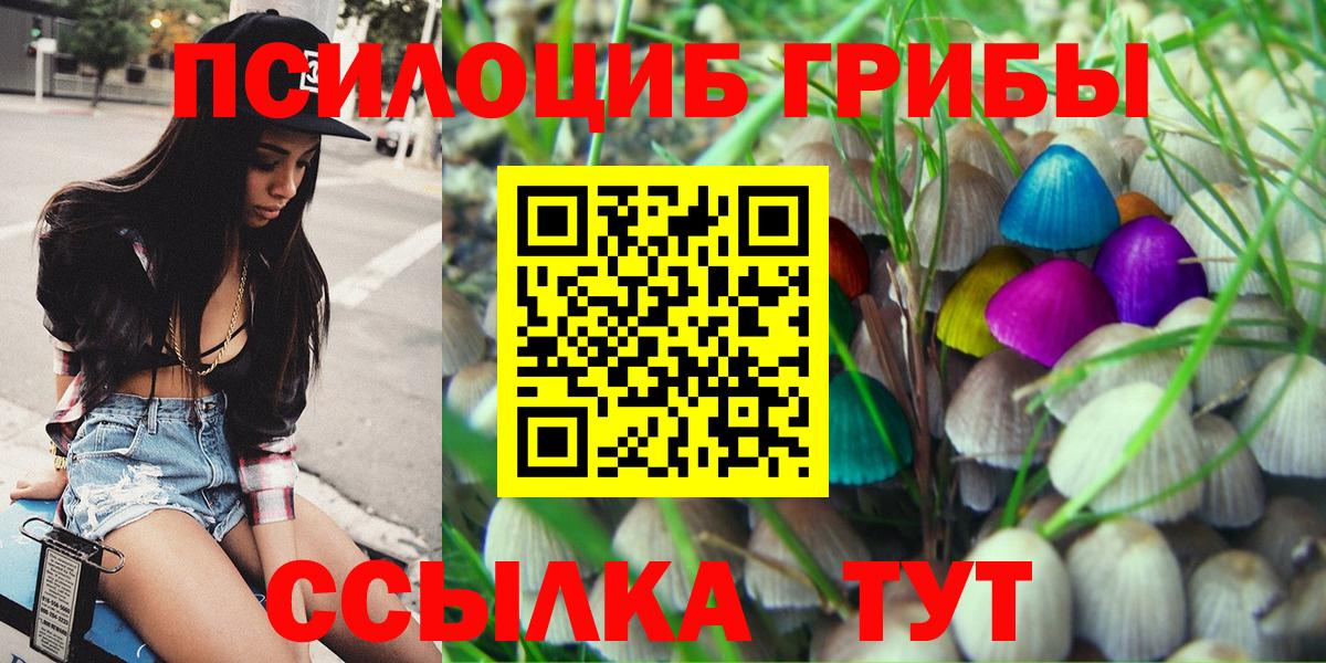 Галлюциногенные грибы Psilocybe  Вход с VPN  Знаменск 