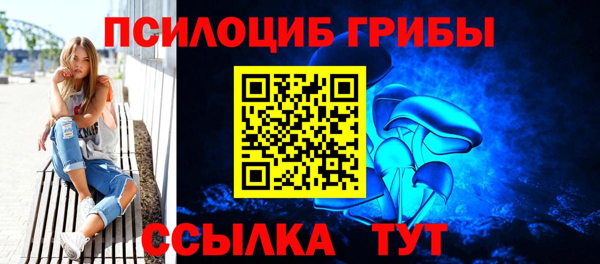 Псилоцибиновые грибы Psilocybine cubensis Знаменск